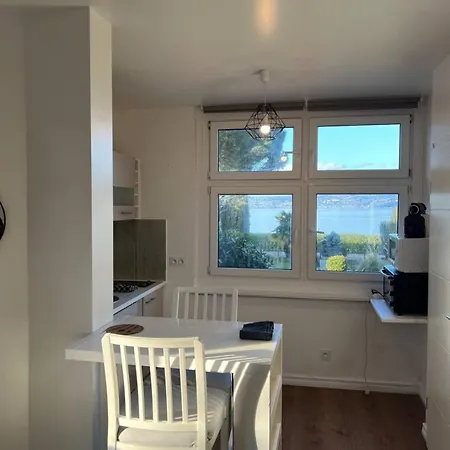 アパート Meuble Avec Vue Sur Le Leman リュグラン