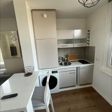 Meuble Avec Vue Sur Le Leman Lugrin