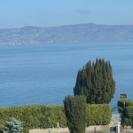 Meuble Avec Vue Sur Le Leman Apartment Lugrin