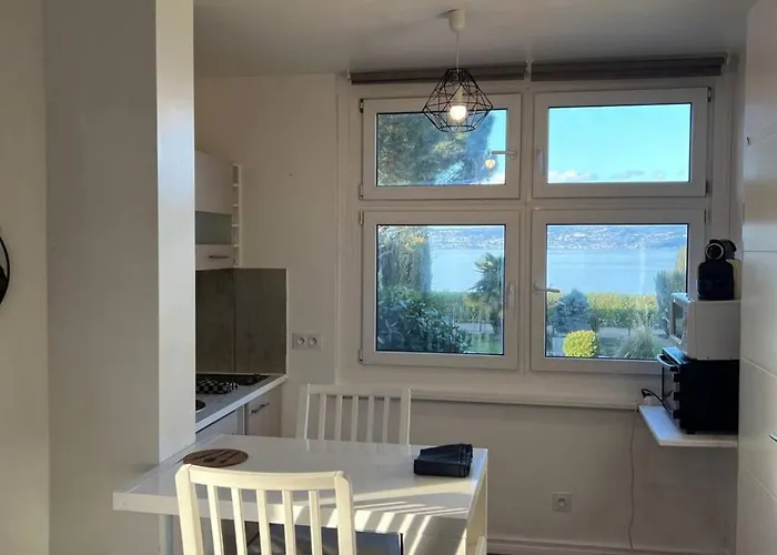 アパート Meuble Avec Vue Sur Le Leman リュグラン