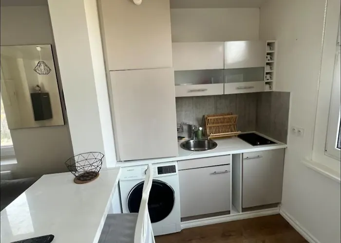 Meuble Avec Vue Sur Le Leman Lugrin