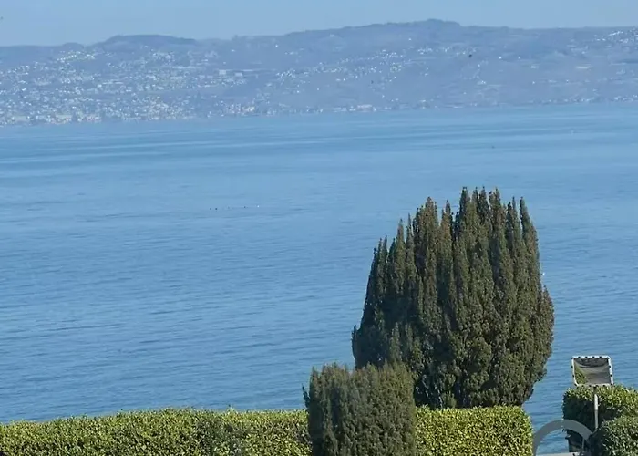 Meuble Avec Vue Sur Le Leman Apartment Lugrin
